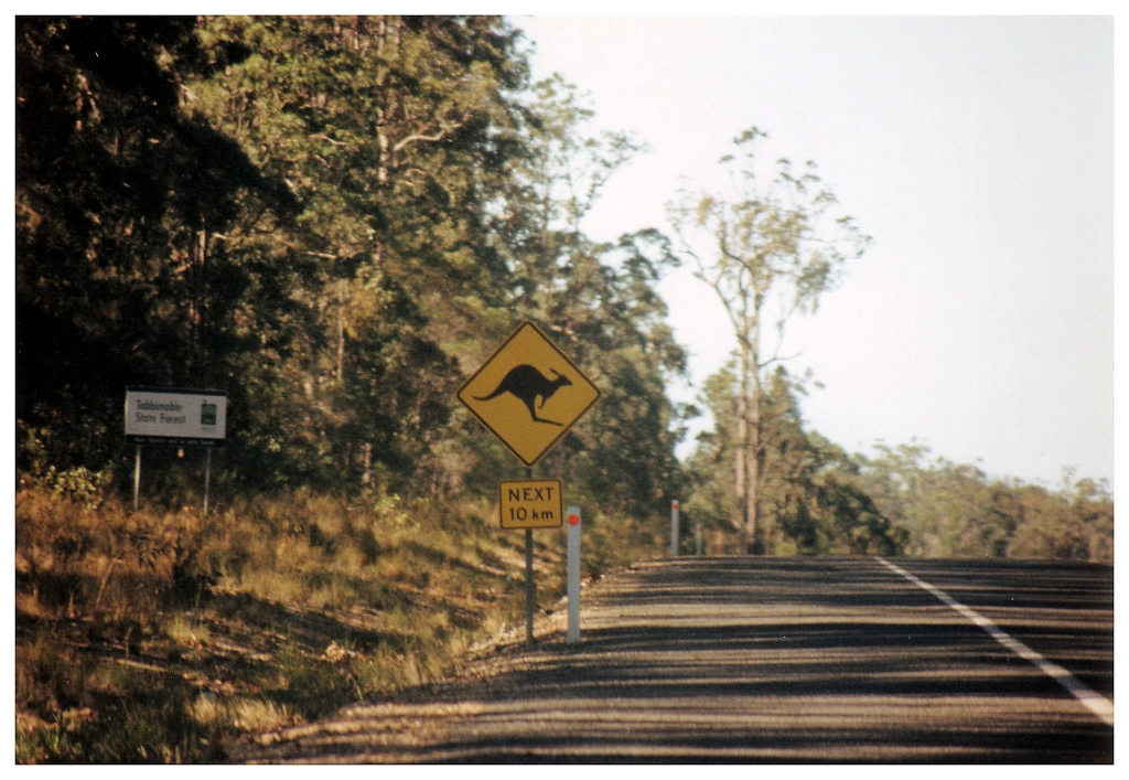 04 - Queensland (31).jpg